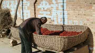 webwxgetmsgimg (1).jpg